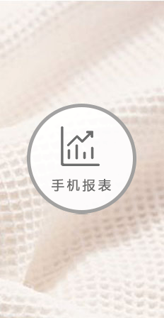 手機(jī)報(bào)表